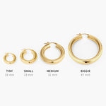 Load image into Gallery viewer, Leila Small Silver Hoop Earrings