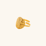 Load image into Gallery viewer, Sabrina Gold Piece Ring