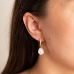 Load image into Gallery viewer, Wella Pearl Gold Zirconia Hoop Earrings