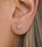 Load image into Gallery viewer, Raye Gold Crystal Stud Earrings