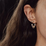 Load image into Gallery viewer, Two Tone Classic C Dual Ring Hoop Earrings