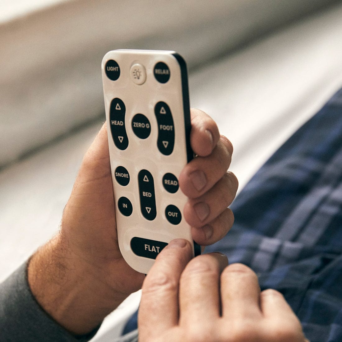 ERGOMOTION Ergomotion - Dawn House