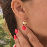 Load image into Gallery viewer, Ball Earrings Shiny Round Hook Earrings