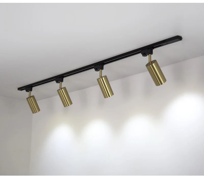 Nøordka Light Ceiling Light Fixtures 4 Bulb Track Modern Black & Gold Flush-Mount Ceiling Spotlight Track Lighting Fixture