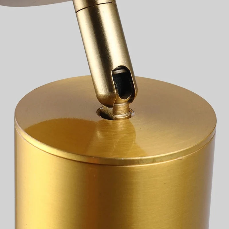 Nøordka Light Ceiling Light Fixtures Modern Black & Gold Flush-Mount Ceiling Spotlight Track Lighting Fixture