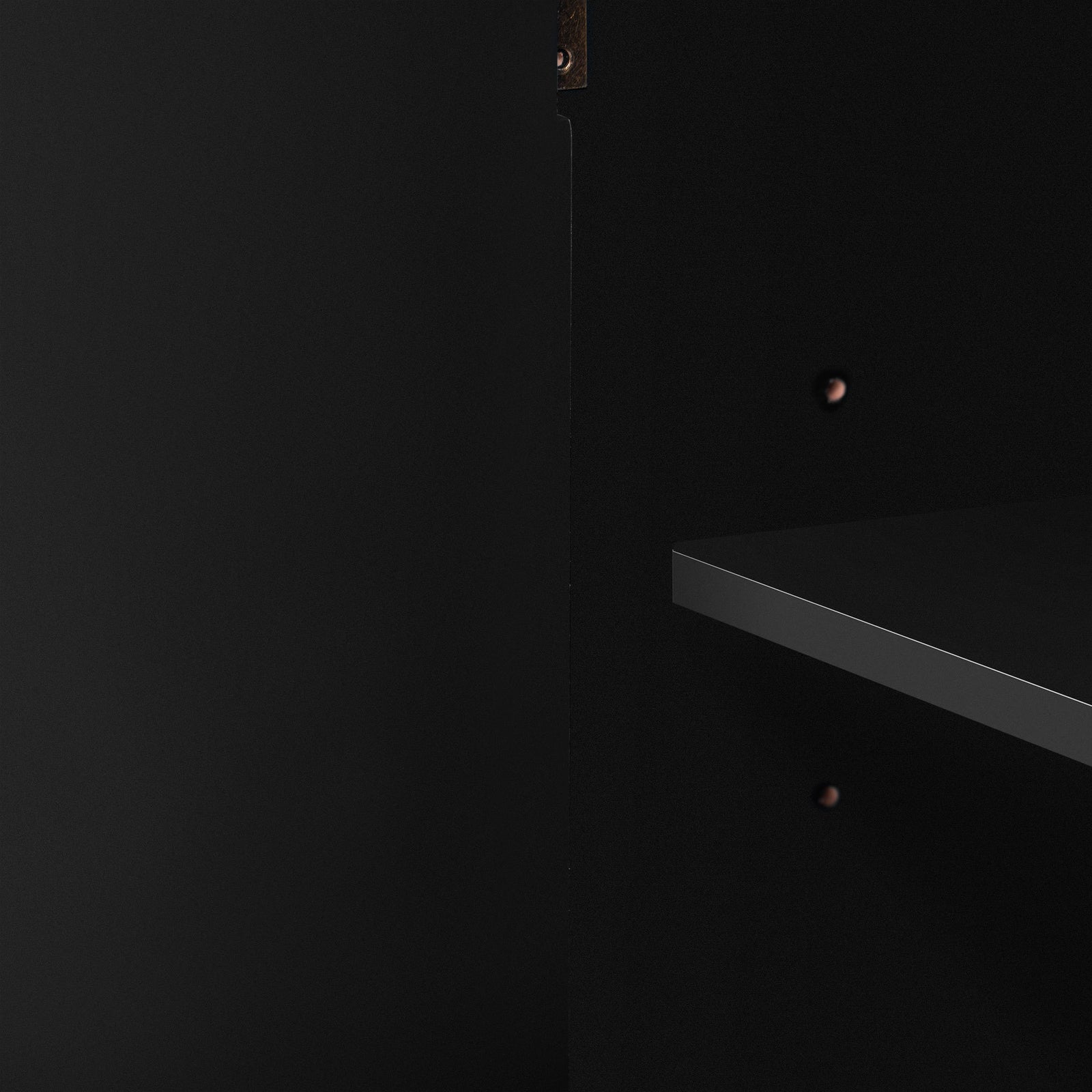 Nøordka Light Sideboard Default 50" Fraxinus Mandschuric Black Solid Wood Cabinet with Adjustable Shelving