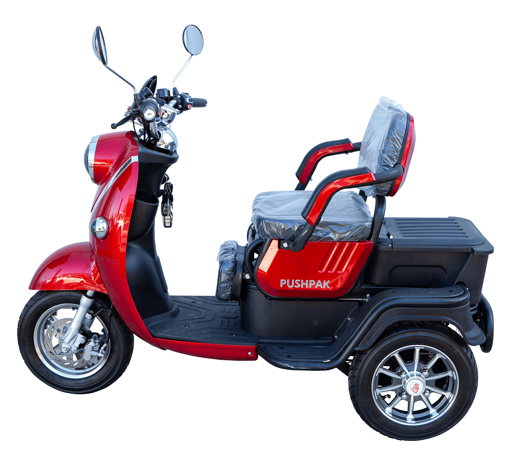 PUSHPAK MOTORS Pushpak 1000 - PPM1000