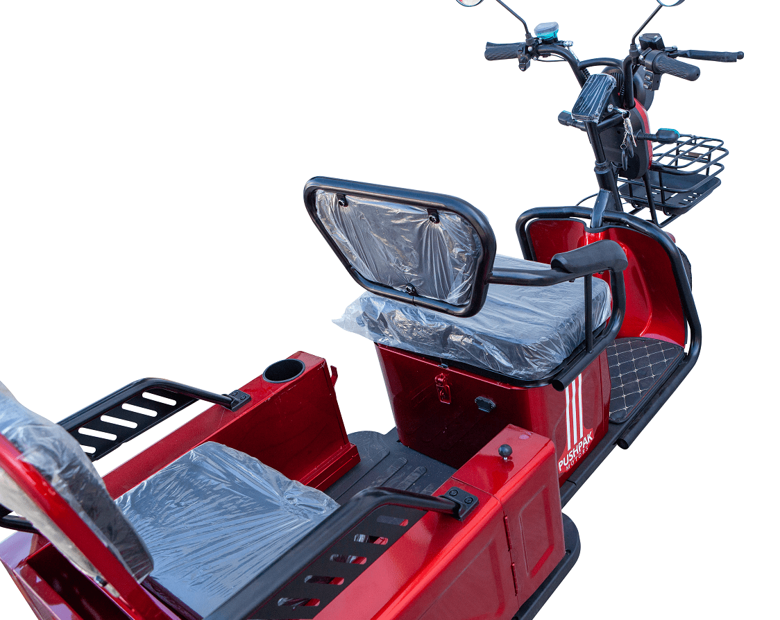 PUSHPAK MOTORS Pushpak 3000 - PPM3000