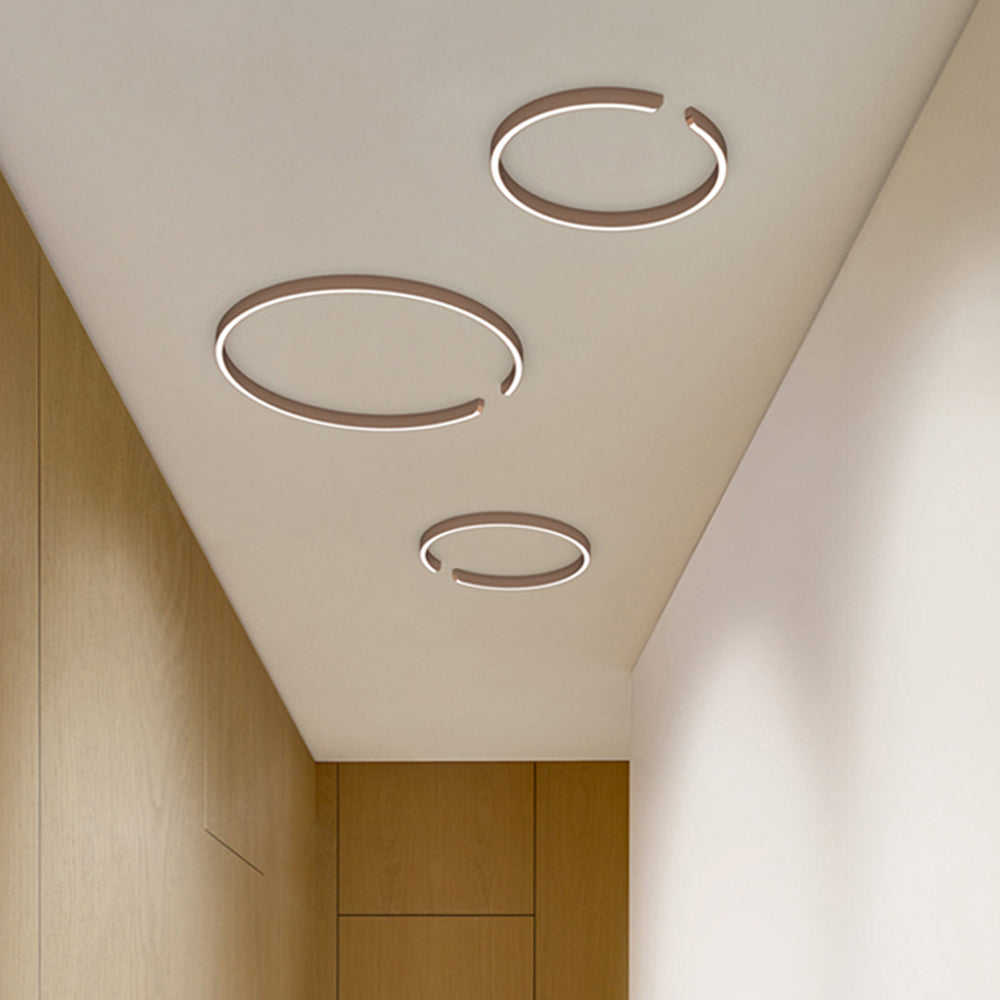 Contemporary Flush Mount Ceiling Light