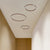 Contemporary Flush Mount Ceiling Light