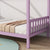 Pink Twin Rubber Wood House Bed with Headboard and Footboard