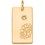 Load image into Gallery viewer, Personalized Name Dainty Satellite Chain Birth Flower &amp; Stone Necklace
