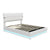 Upholstered Platform Queen Size Lift Up Storage Bed with LED Lighting in White