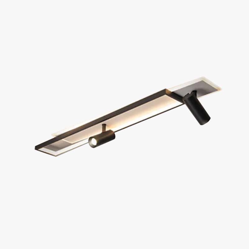 Adjustable Modern Ceiling Light Fixture