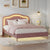 Pink Twin Velvet Upholstered Bed Frame with Adjustable LED Lights