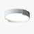 Contemporary Round Flush Mount Ceiling Light