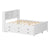 White Twin Bed with Trundle and Three Drawers