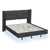 Dark Gray Velvet Queen Size Floating Platform Bed Frame with LED Lighting