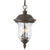 Weatherproof Vintage Pendant Light with Clear Glass Shade