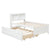 White Twin Bed with Bookcase, Trundle, and Drawers