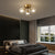 Contemporary Clear Glass Ceiling Light Fixture