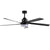 65-Inch Black Ceiling Fan with Light