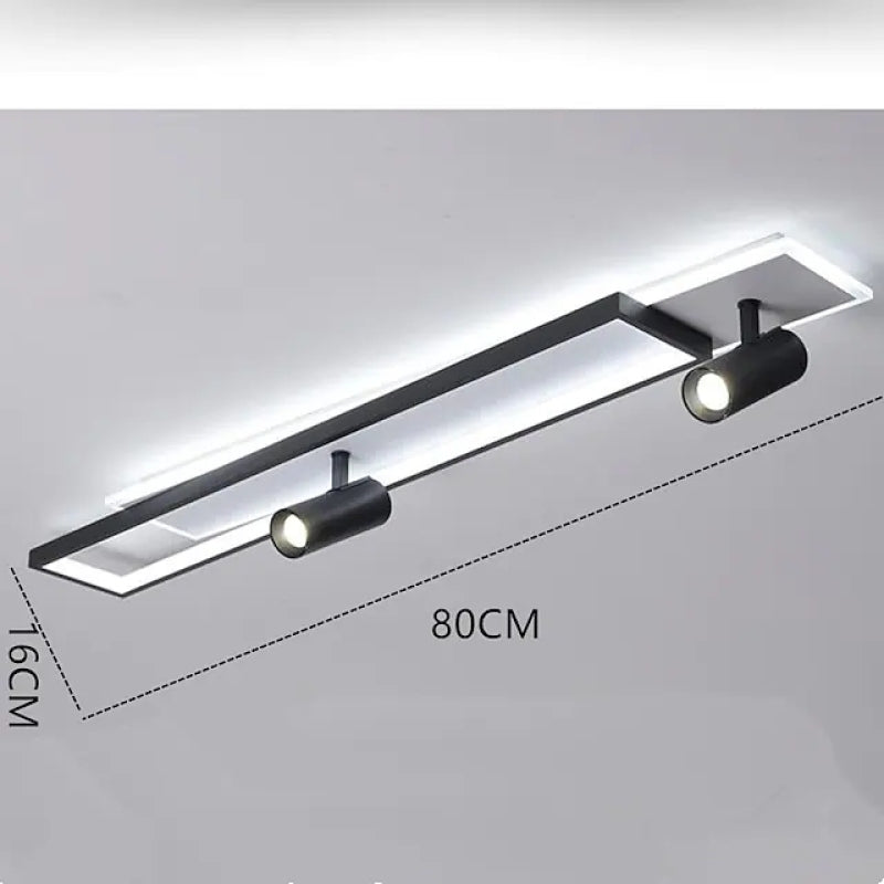 Adjustable Modern Ceiling Light Fixture