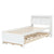 White Twin Bed with Bookcase, Trundle, and Drawers