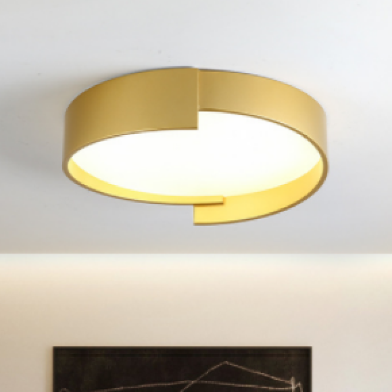 Contemporary Round Flush Mount Ceiling Light