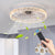 Modern Acrylic Ceiling Fan Light with Dimmable LED and Remote Control