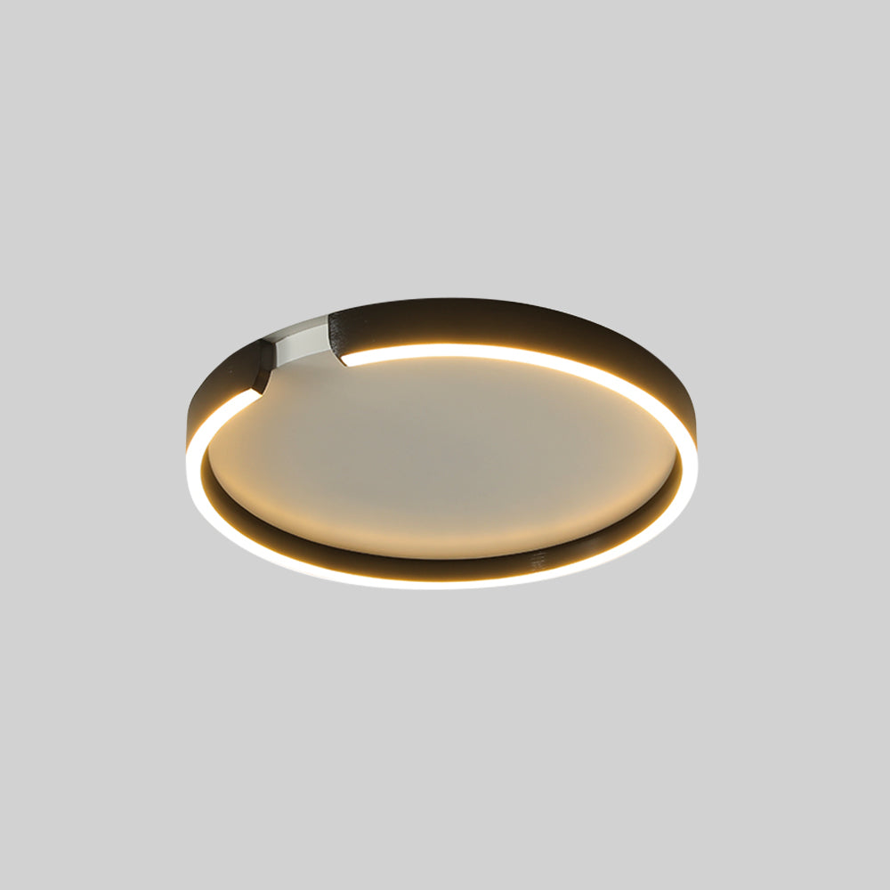 Contemporary Flush Mount Ceiling Light