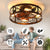 20-Inch Caged Ceiling Fan with Lights