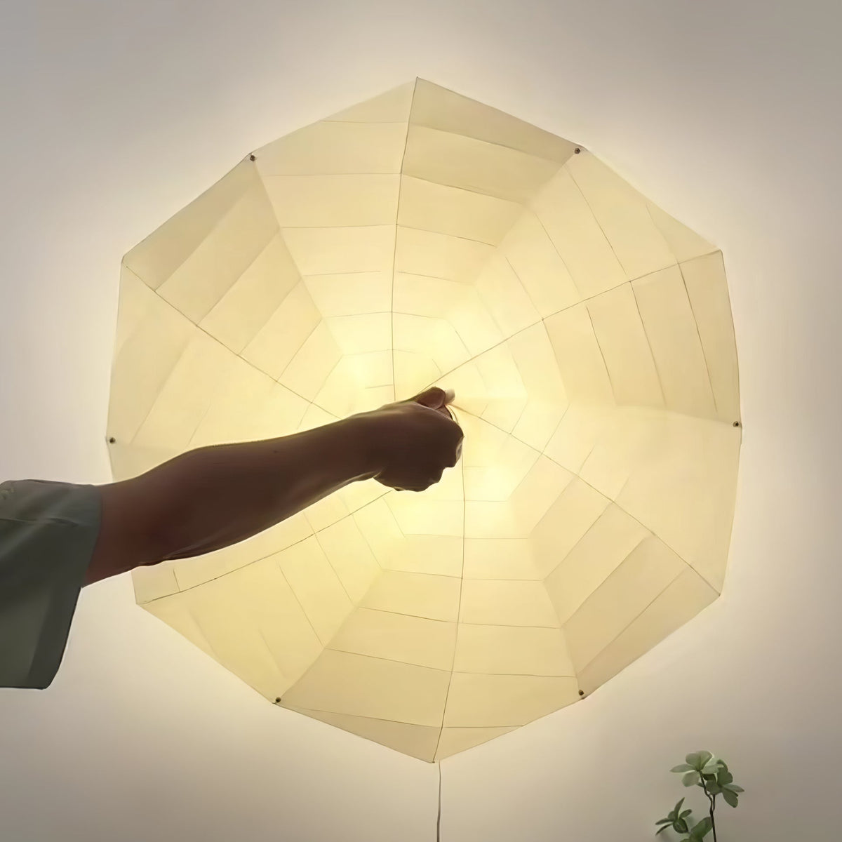 Sculpted Bloom Petal Contemporary Wall Lamp