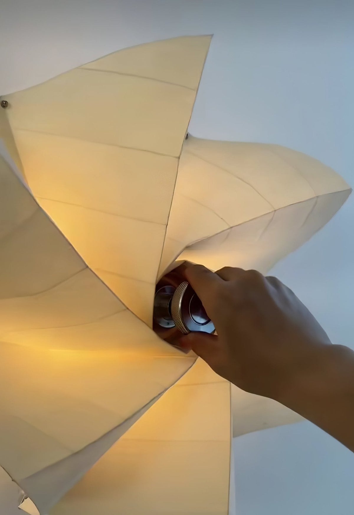 Sculpted Bloom Petal Contemporary Wall Lamp