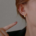 Load image into Gallery viewer, S925 Dainty Droplet Hook Earrings
