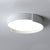 Contemporary Round Flush Mount Ceiling Light