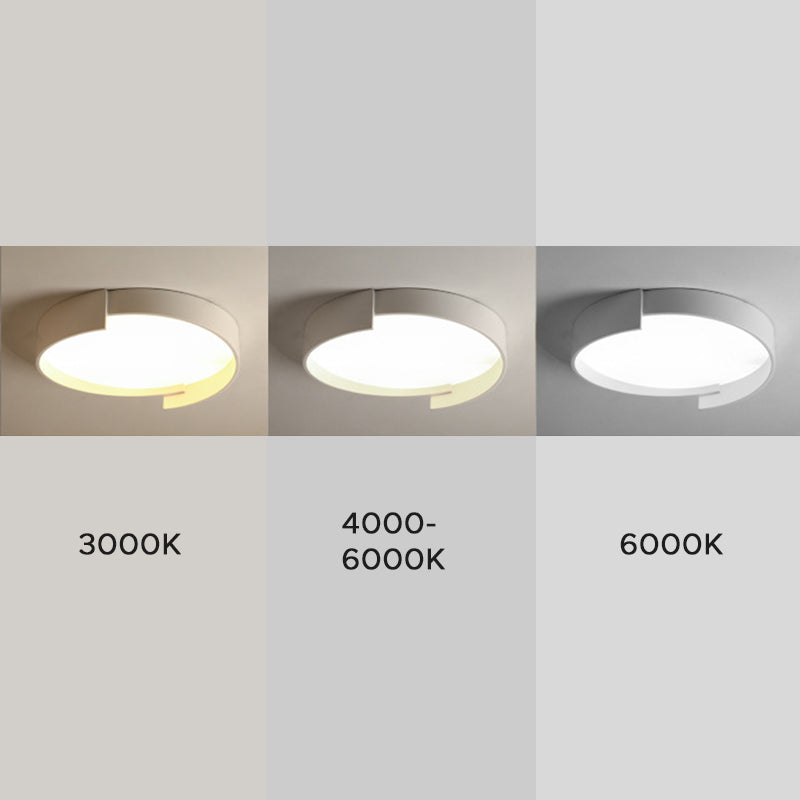 Contemporary Round Flush Mount Ceiling Light