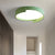 Contemporary Round Flush Mount Ceiling Light