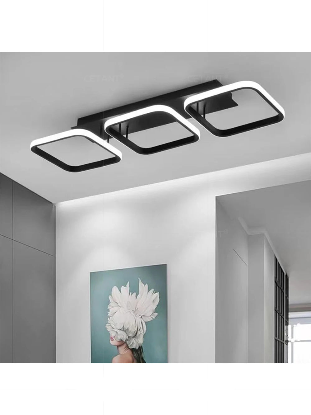 Minimalist Black Square Interior Ceiling Light in Black