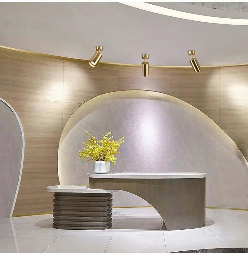 Modern Black &amp; Gold Flush-Mount Ceiling Spotlight Track Lighting Fixture