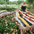 Color Contrast Wool Blanket with Tassel Fringe