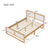 Modern White & Walnut Queen Bed Frame