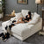 Modern Beige Corduroy Double Sleeper Sofa