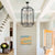 8-Light Farmhouse Chrome Foyer Chandelier