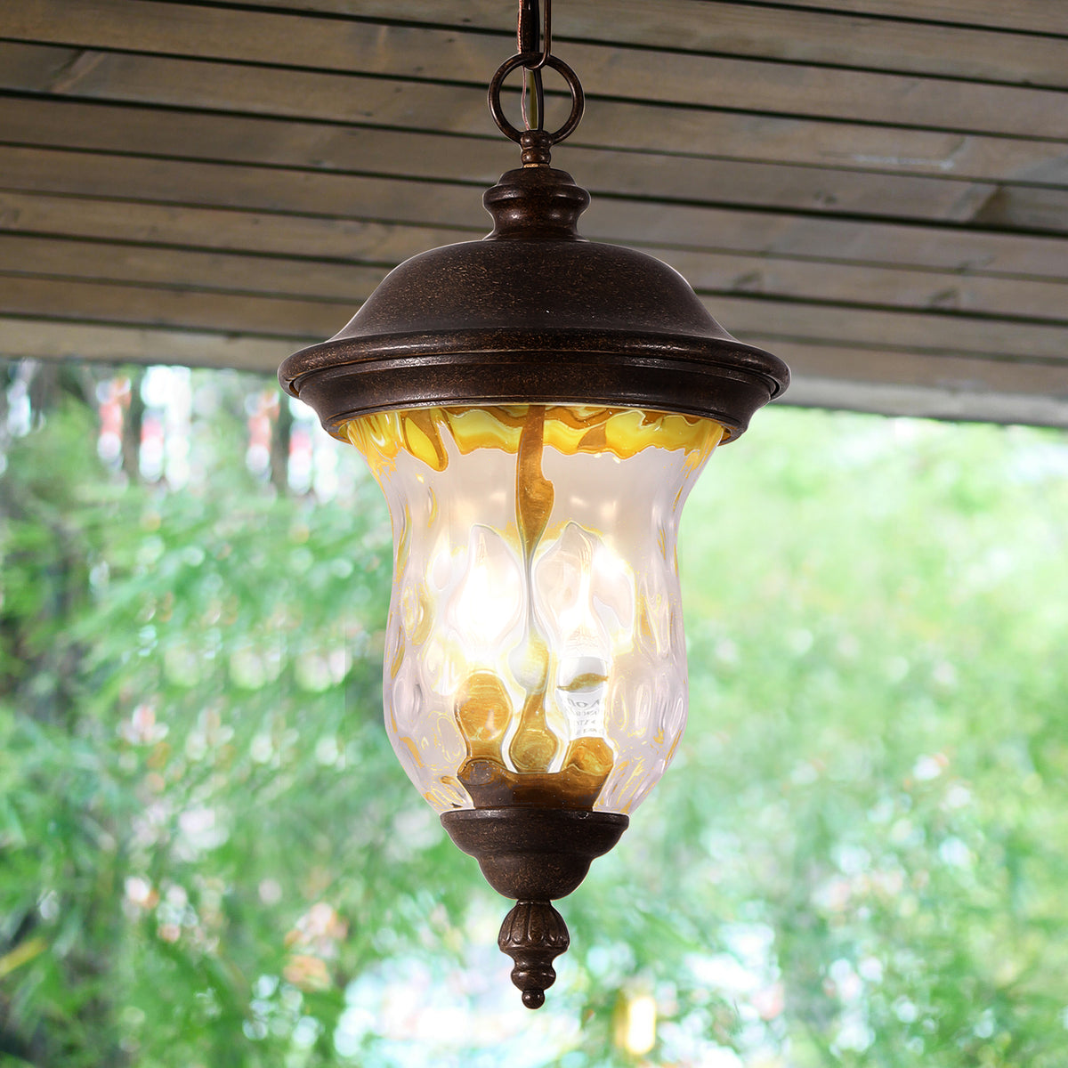AESTIN'S DECOR Outdoor Light Weatherproof Vintage Pendant Light with Clear Glass Shade