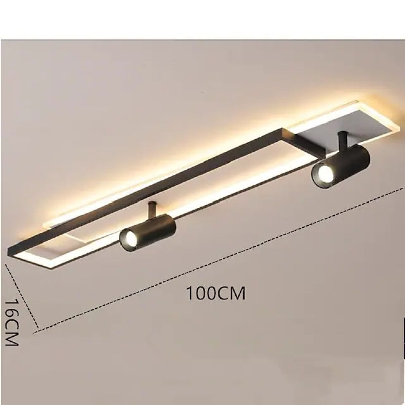 Adjustable Modern Ceiling Light Fixture