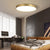 BY COELHO Flush Mount Ceiling Light Modern Flush Mount LED Ceiling Light in Gold