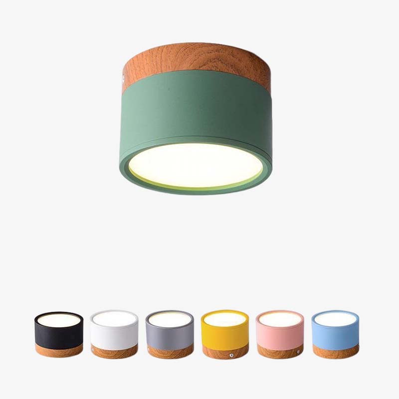 BY COELHO Flush Mount Ceiling Light Modern Flush Mount Ceiling Light with Adjustable Colour Temperature