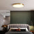 BY COELHO Flush Mount Ceiling Light Modern Flush Mount LED Ceiling Light in Gold