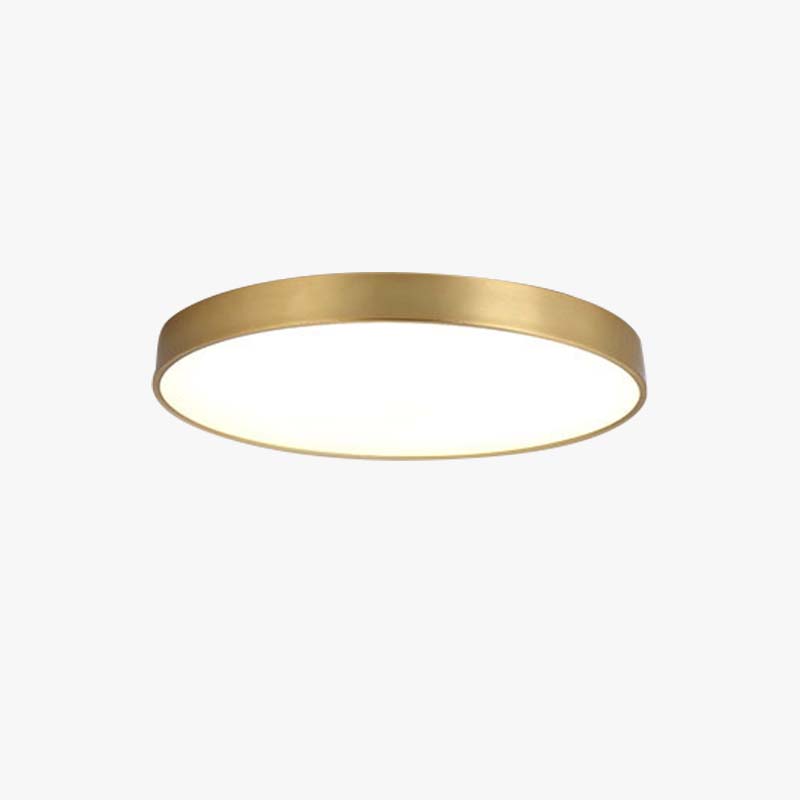 BY COELHO Flush Mount Ceiling Light Modern Flush Mount LED Ceiling Light in Gold